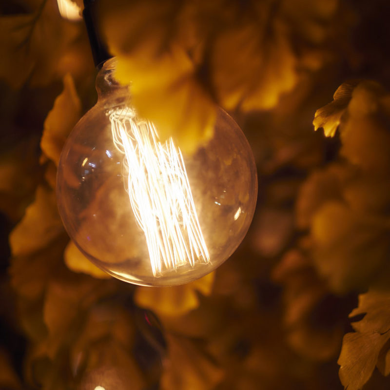 AF Fotografie AF12499