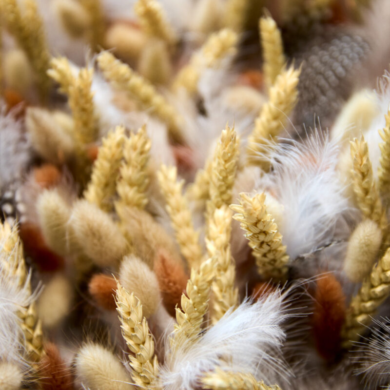 Opening Het Nest 049