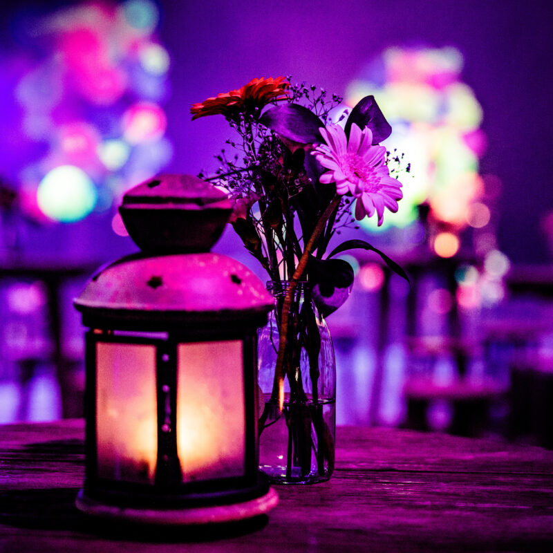 TVH Heaven Jopix Photography 2024 016