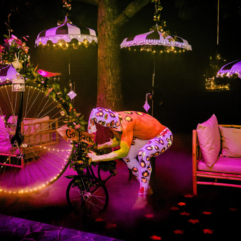 TVH Heaven Jopix Photography 2024 033