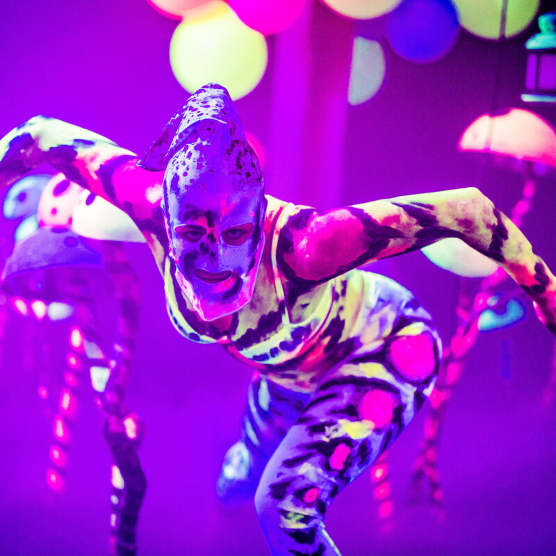 TVH Heaven Jopix Photography 2024 034